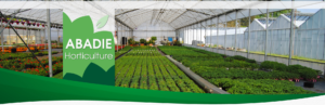 logo abadie horticole