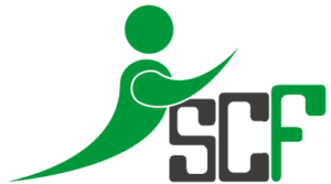 logo sud conseil formation